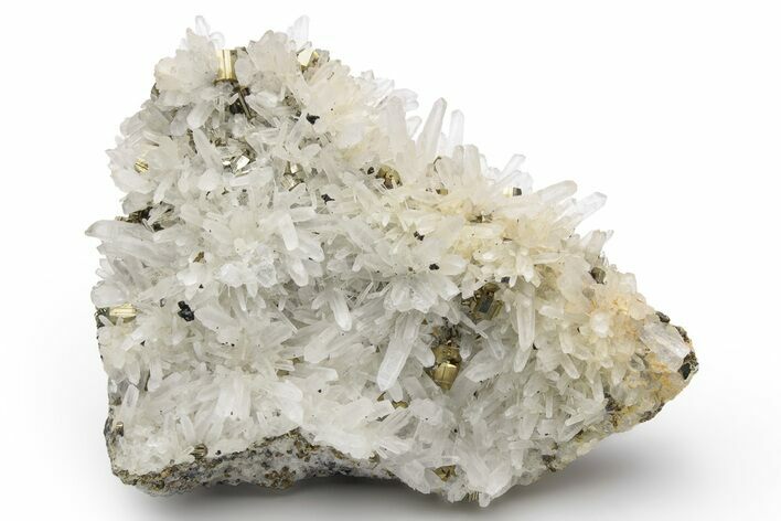 Gleaming, Striated Pyrite and Quartz on Sphalerite - Peru #233419